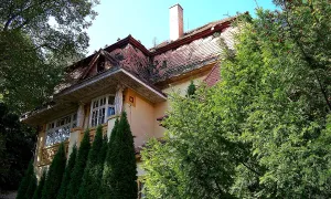 Storchova vila