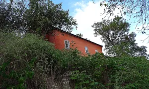 Černohouska