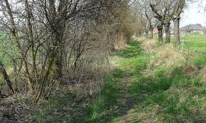 Skalka (hradiště)