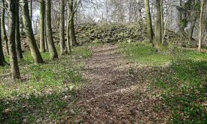 Skočický hrad