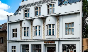 Bednářova vila