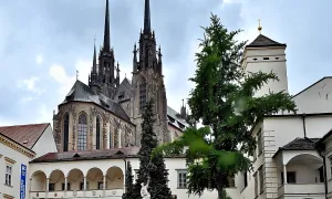 Biskupský dvůr