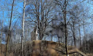 Dvorec