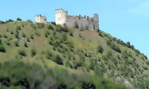 Děvičky