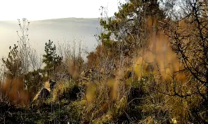 Hrad na Blešenském vrchu