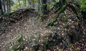 Košíkov