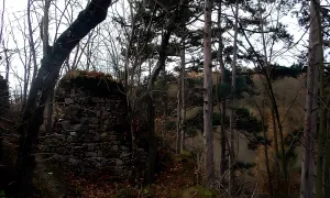 Lapikus