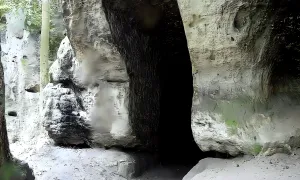 Nedamy