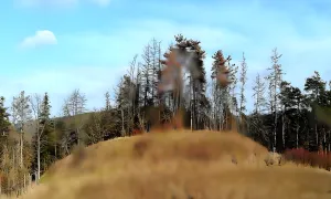 Rysov (Tišnovská Nová Ves)