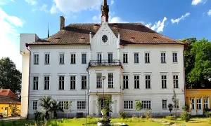Řepín