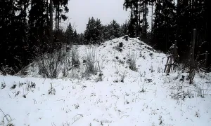Šontál