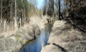 Zlatá stoka