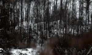 Středověká fortifikace Nový hrad / Zámeček