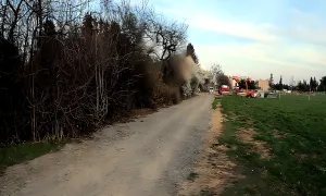 Bodláková