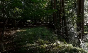 Dehtárská