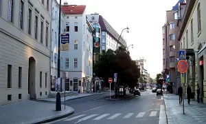 V celnici