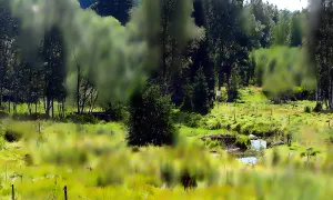 ženijní můstek na Řasnici