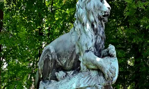 Socha lva