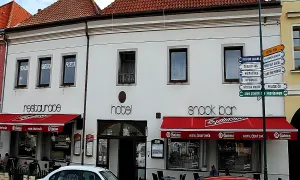 Český dvůr