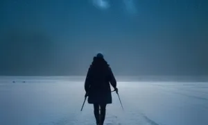 Příběh: Lískovec