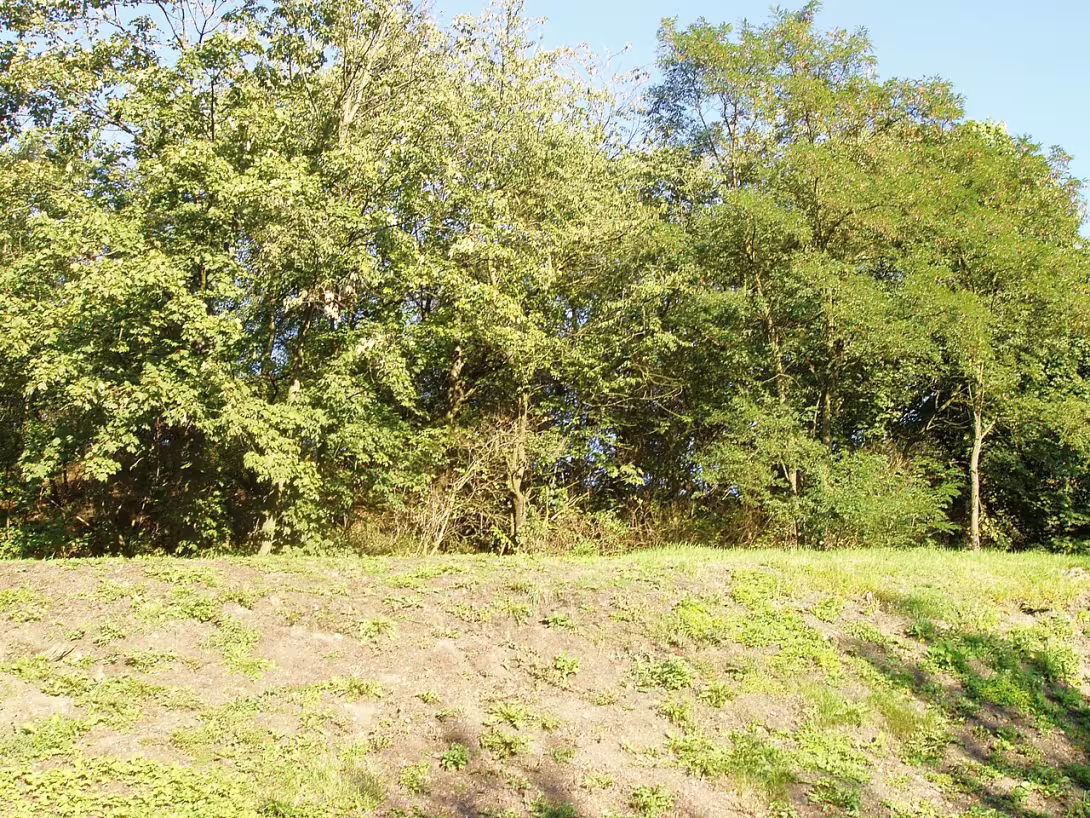 Dnešní pohled – Bořetice