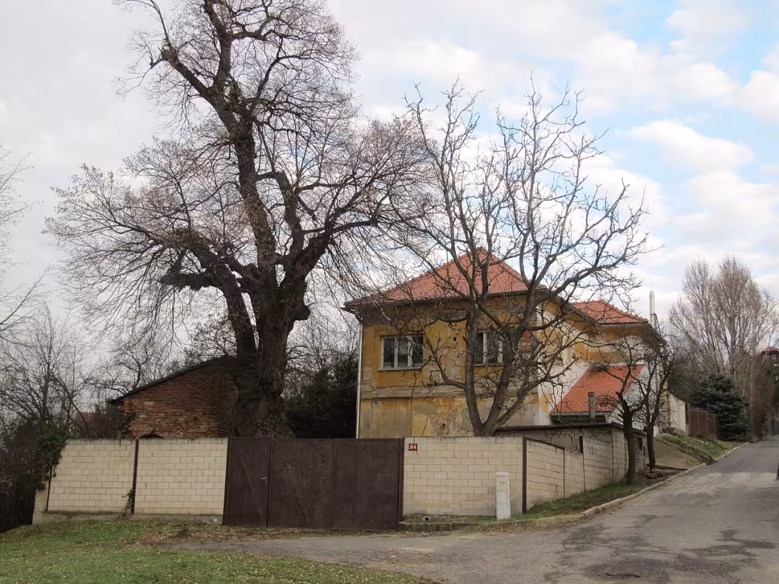 Heutige Ansicht – Braunův sklep