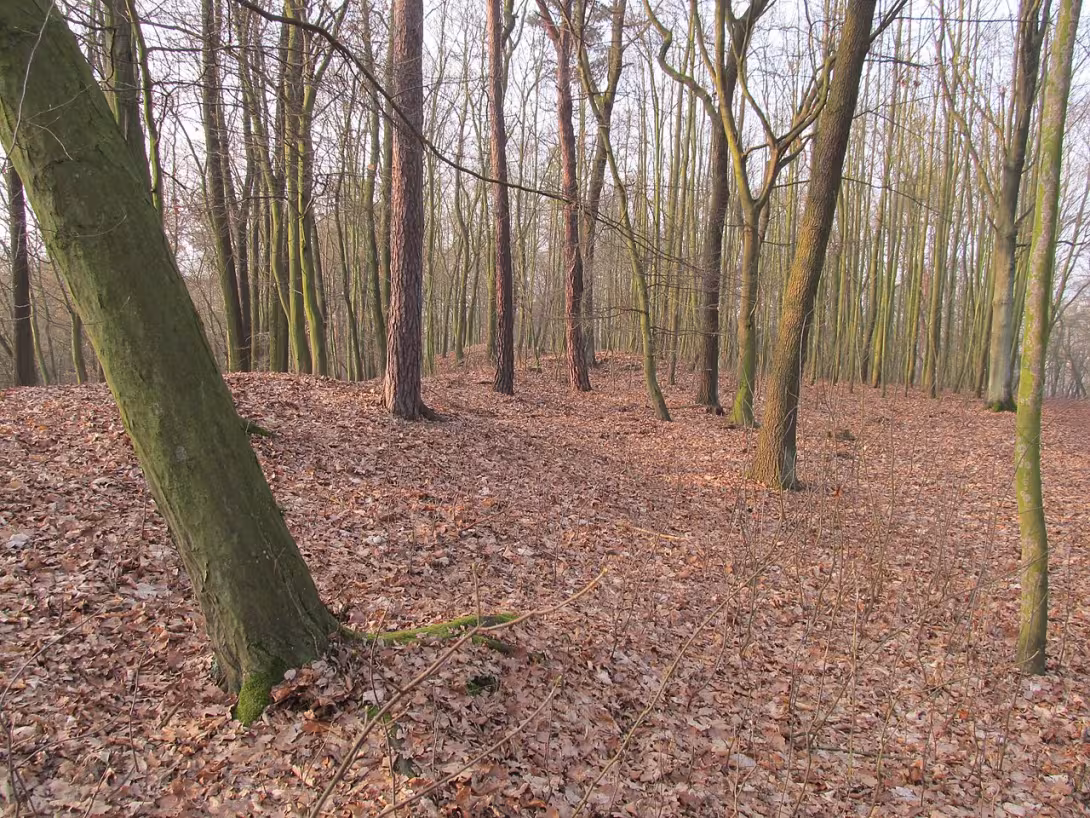 Dnešní pohled – Bukovec