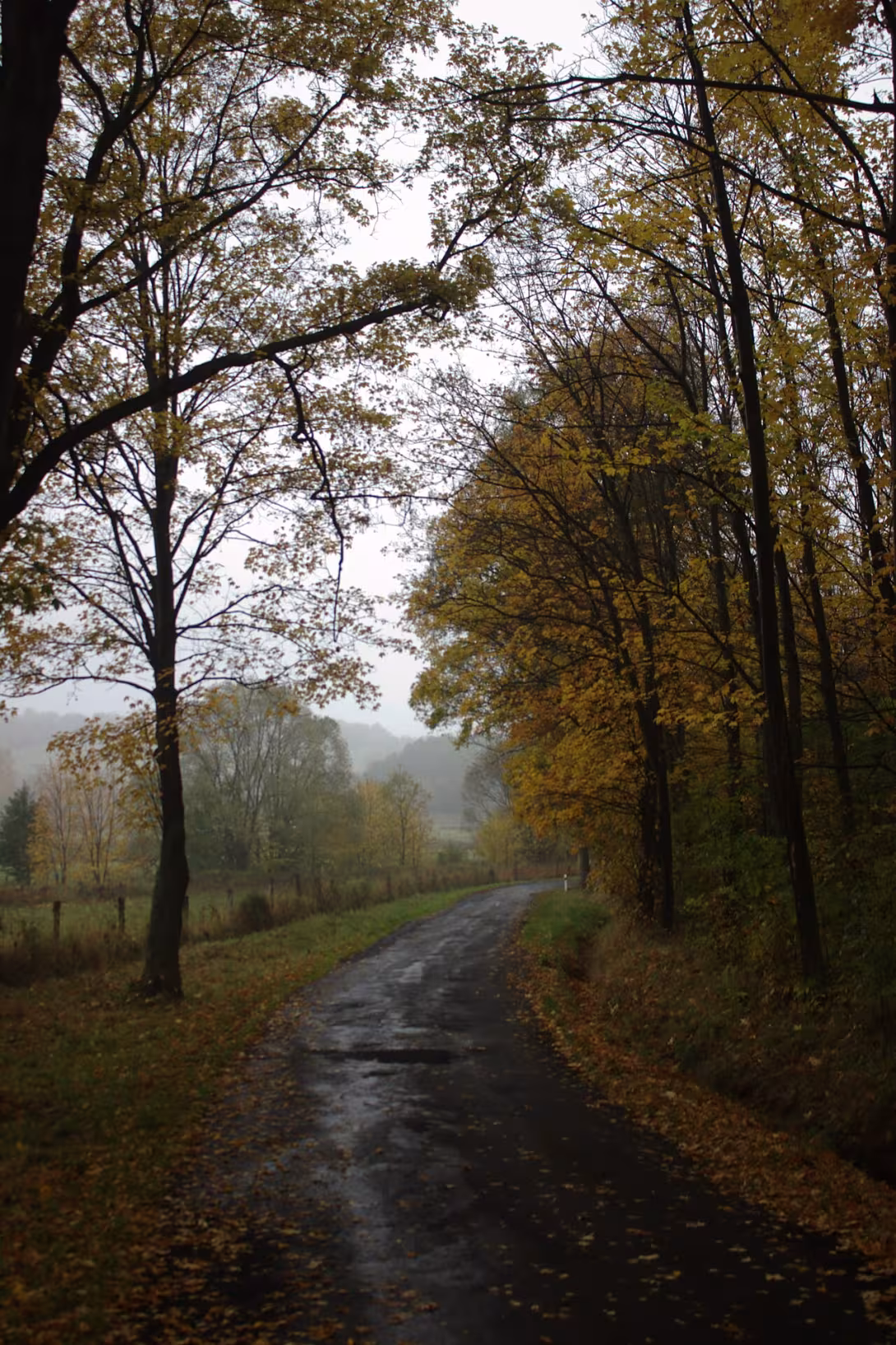 Today's view – Burkvíz