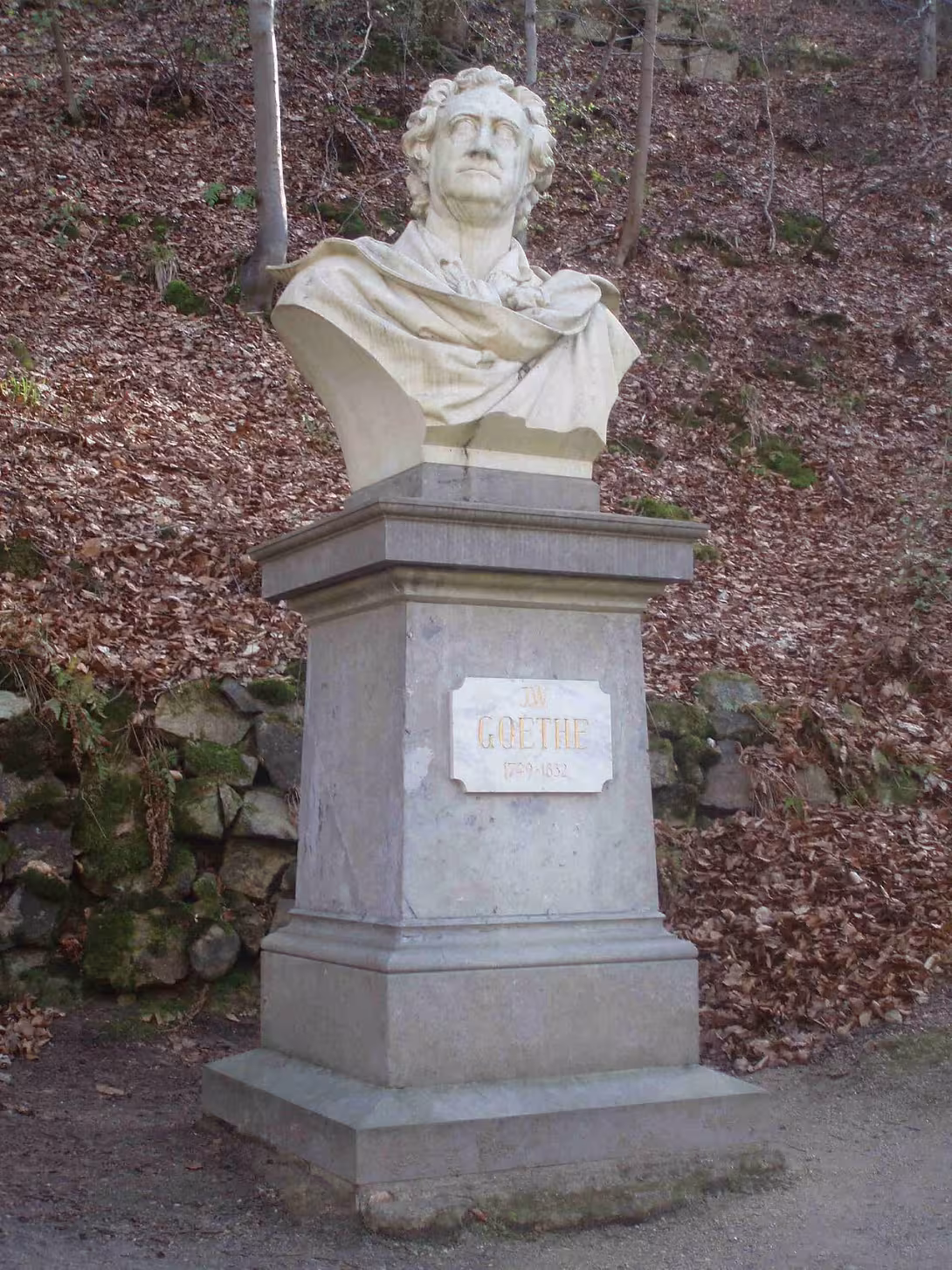 Today's view – Busta J. W. Goetha