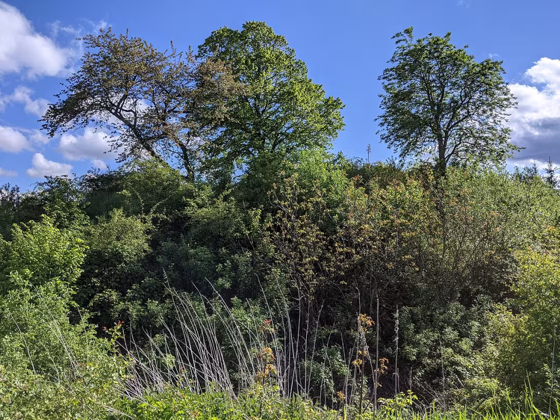 Today's view – Drahlín
