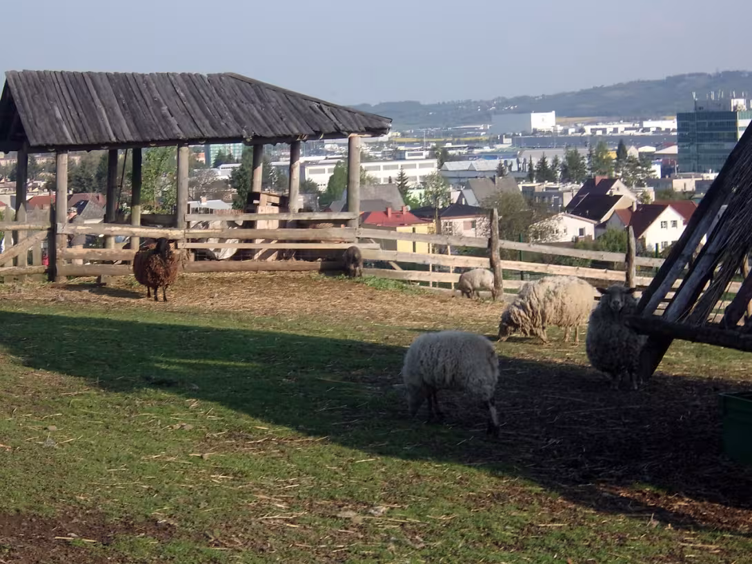 Dnešní pohled – Altamira Kosmonosy