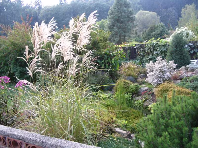 Dnešní pohled – Arboretum Borotín