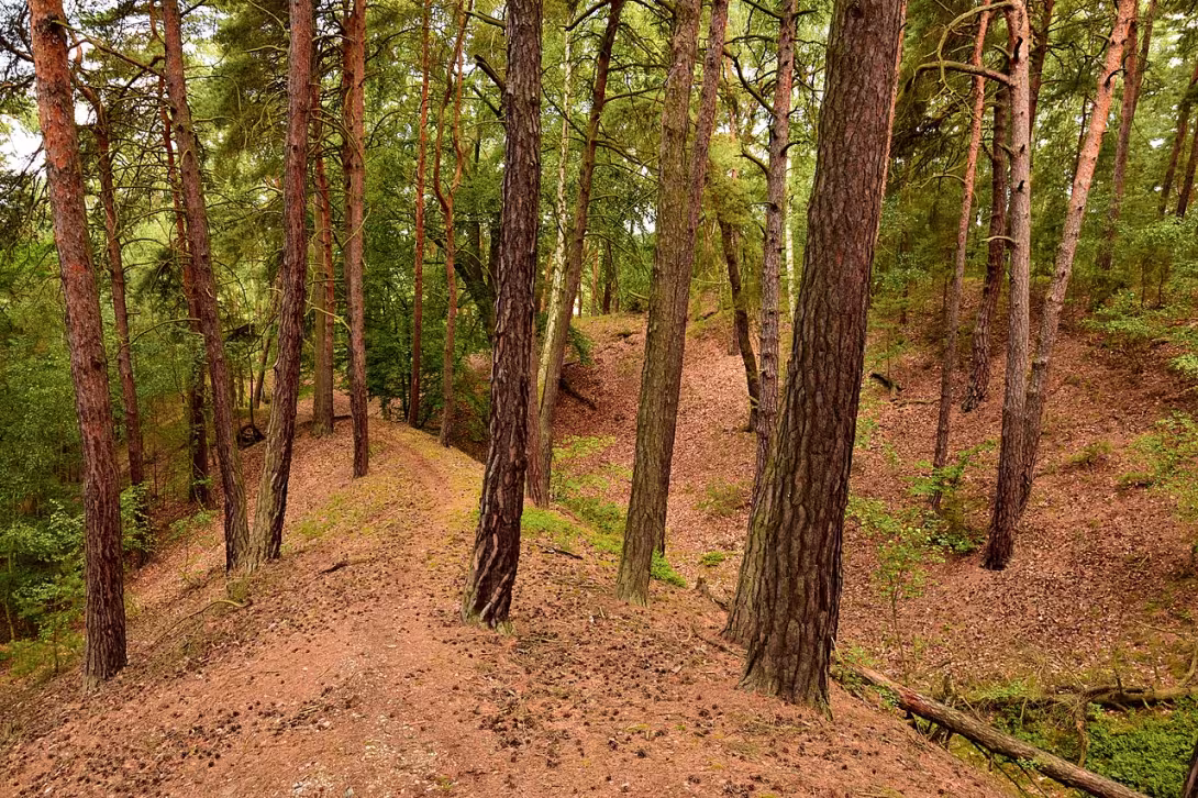 Dnešní pohled – Hlavačov (Lužná)