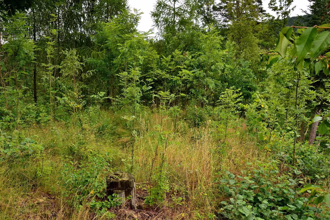 Dnešní pohled – Hrad pod Hrnčířem