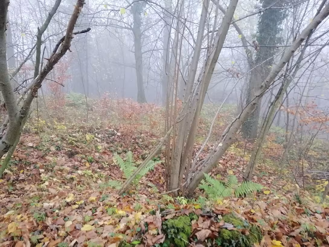 Dnešní pohled – Hradiště Orlík
