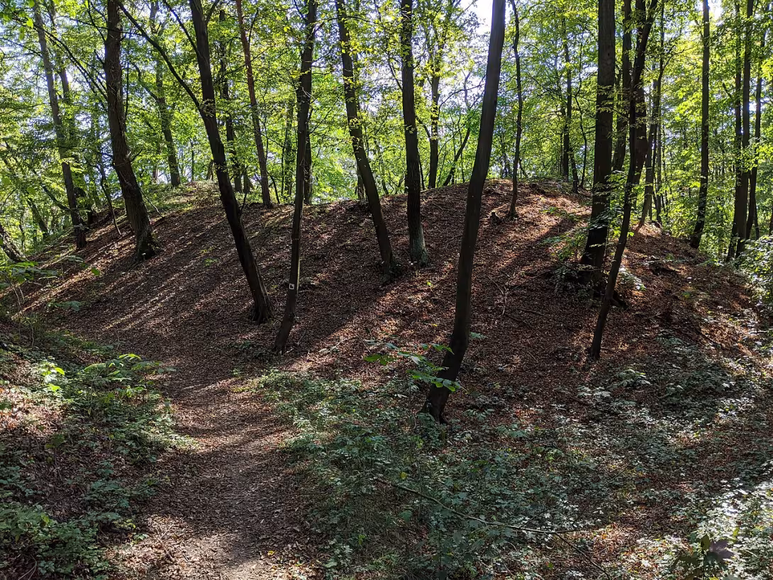 Dnešní pohled – Jevín