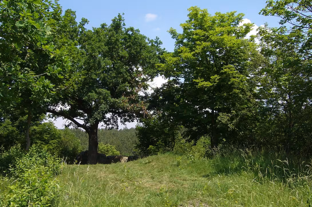 Today's view – Komberk