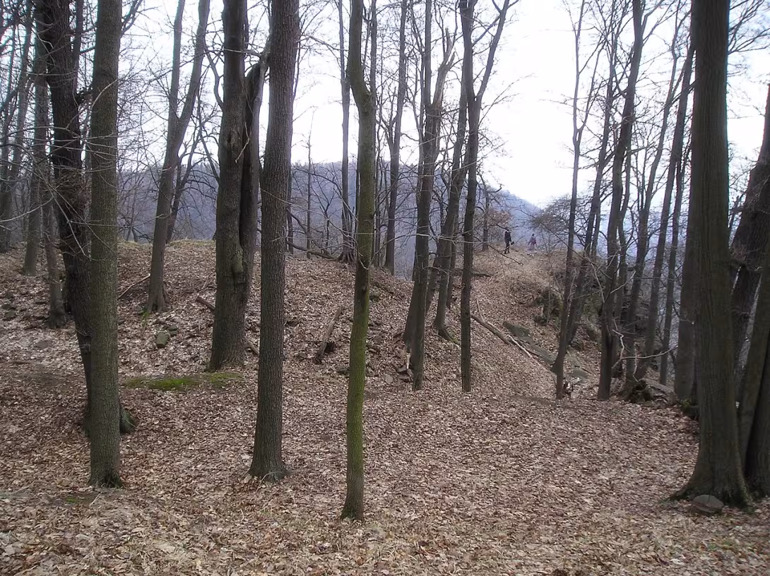Dnešní pohled – Najštejn