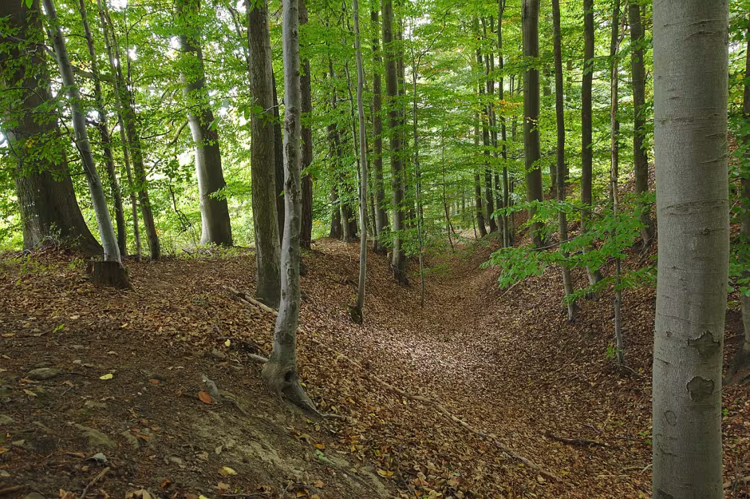Dnešní pohled – Osiky
