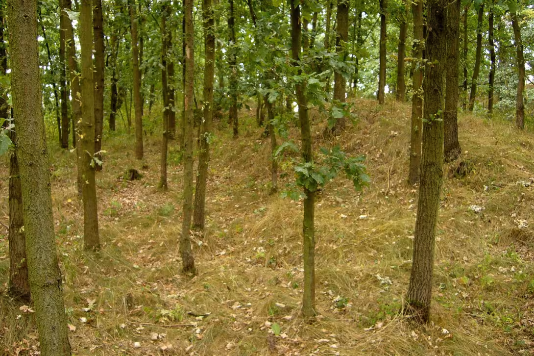 Today's view – Poděhusy