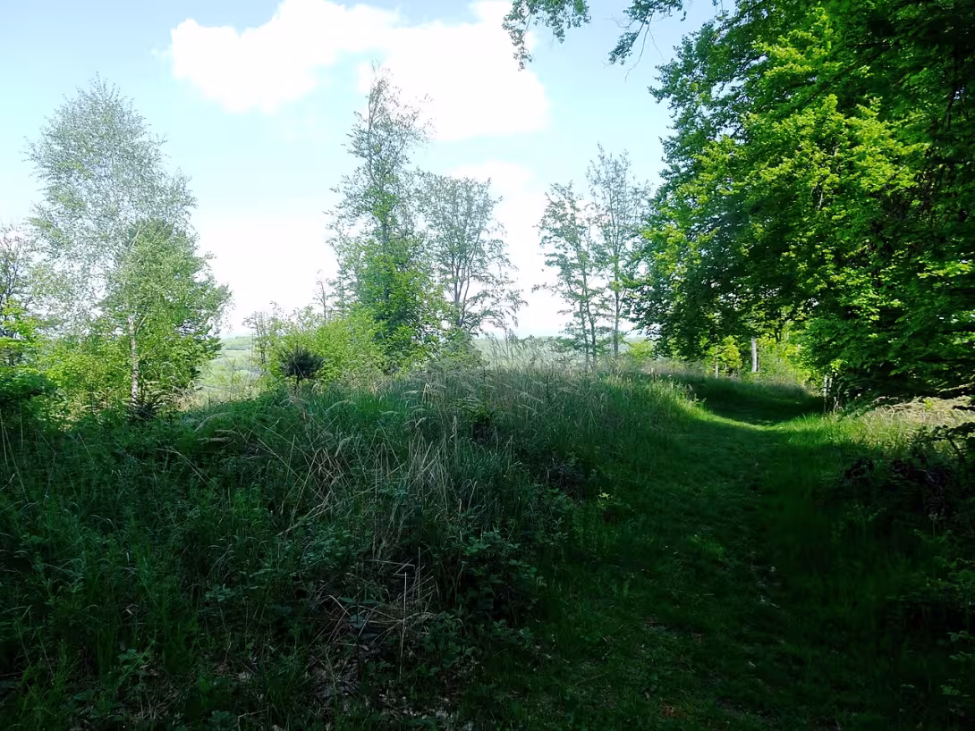 Dnešní pohled – Rýsov (Provodov)