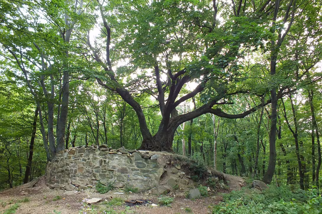 Dnešní pohled – Zuvačov