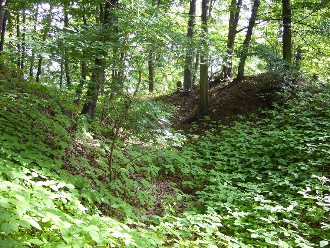 Dnešní pohled – Čepička