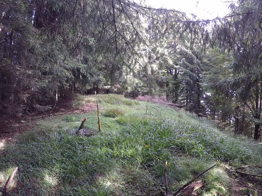Dnešní pohled – Šternek