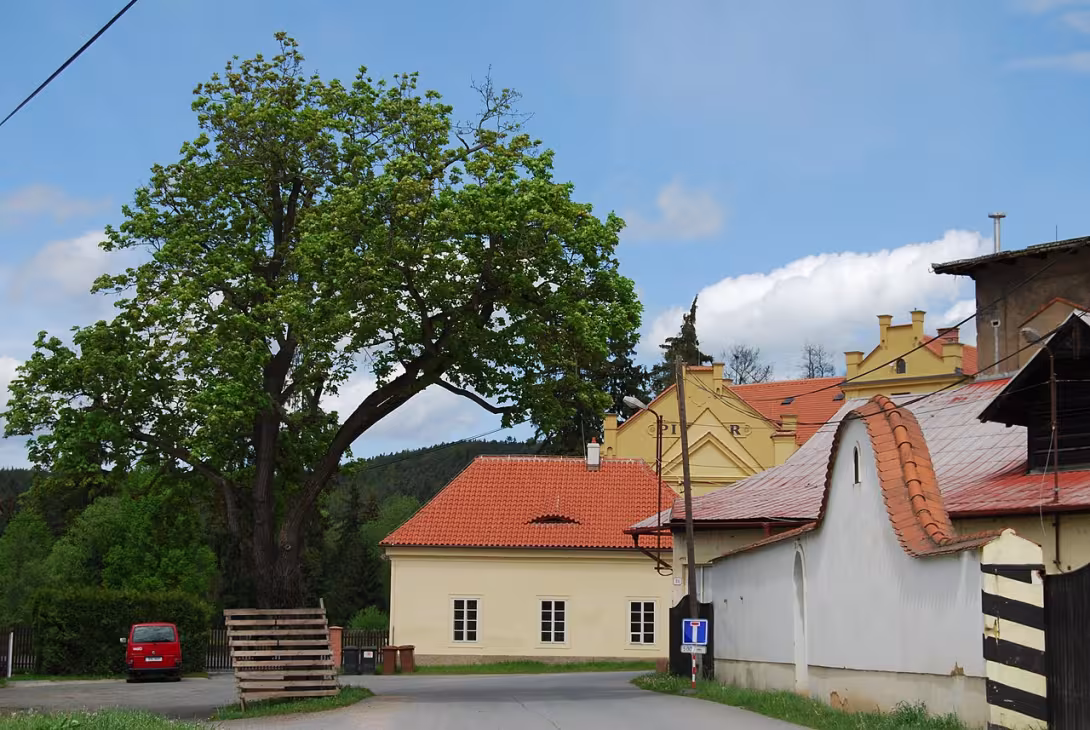 Dnešní pohled – Klášterní mlýn v Plasích