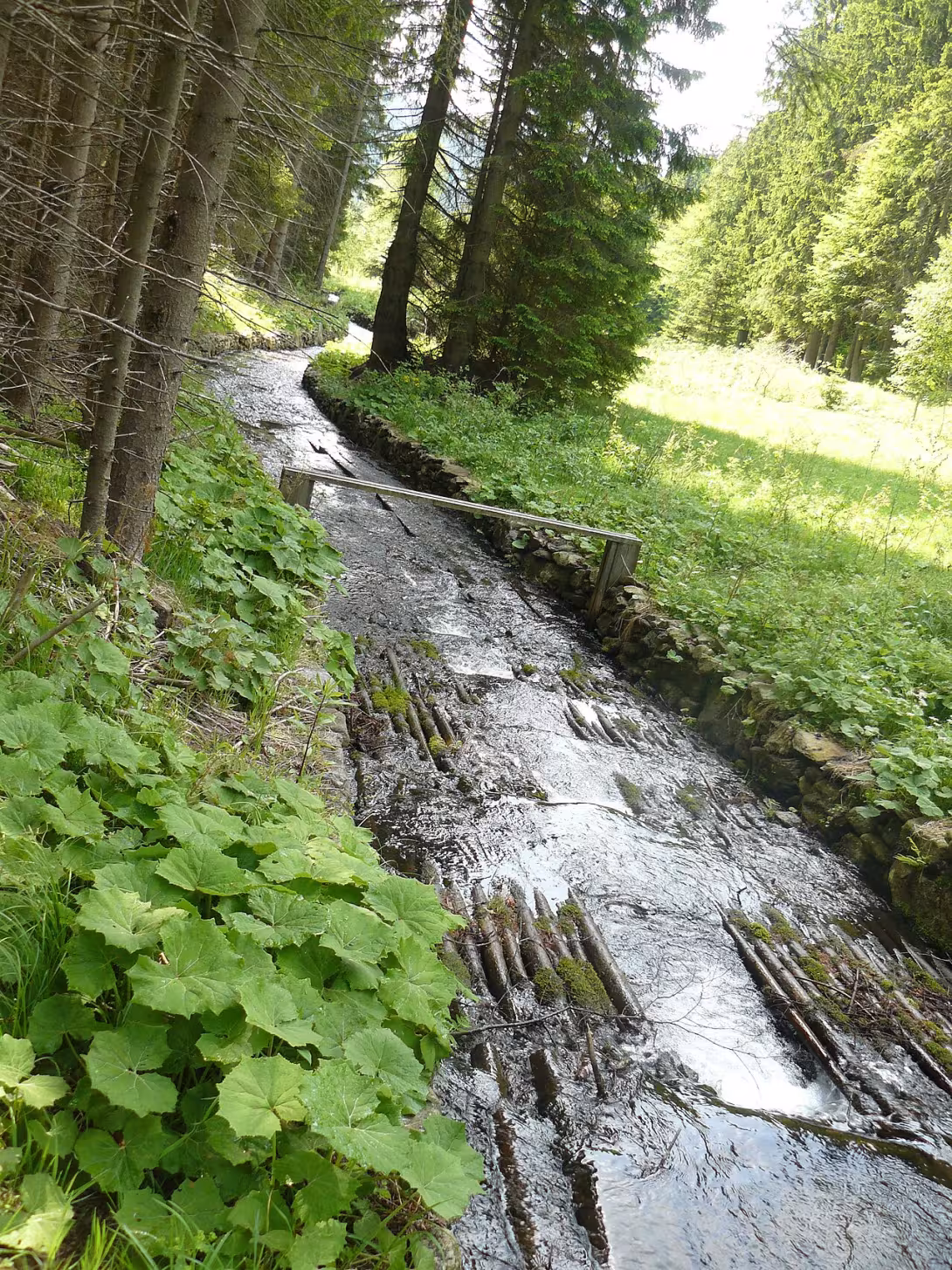 Today's view – Plavební kanál Kaplického potoka