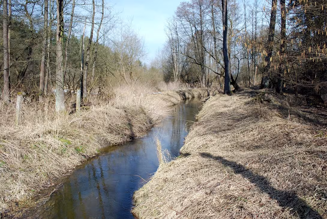 Today's view – Zlatá stoka