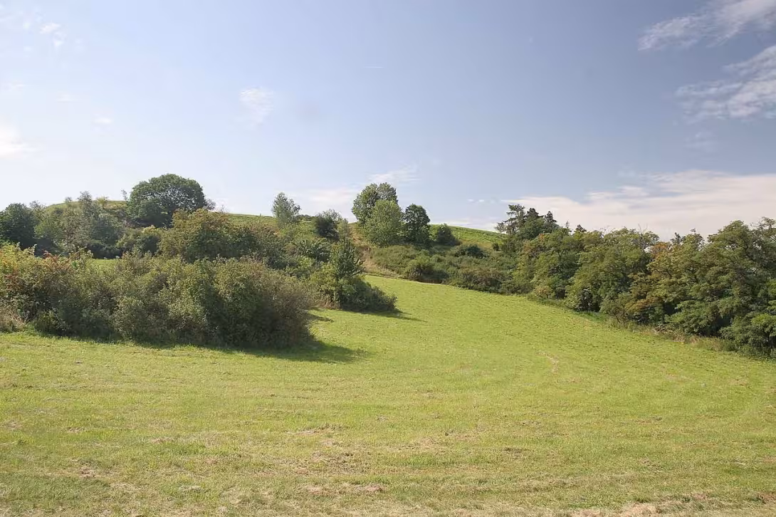 Today's view – Šárecké hradiště