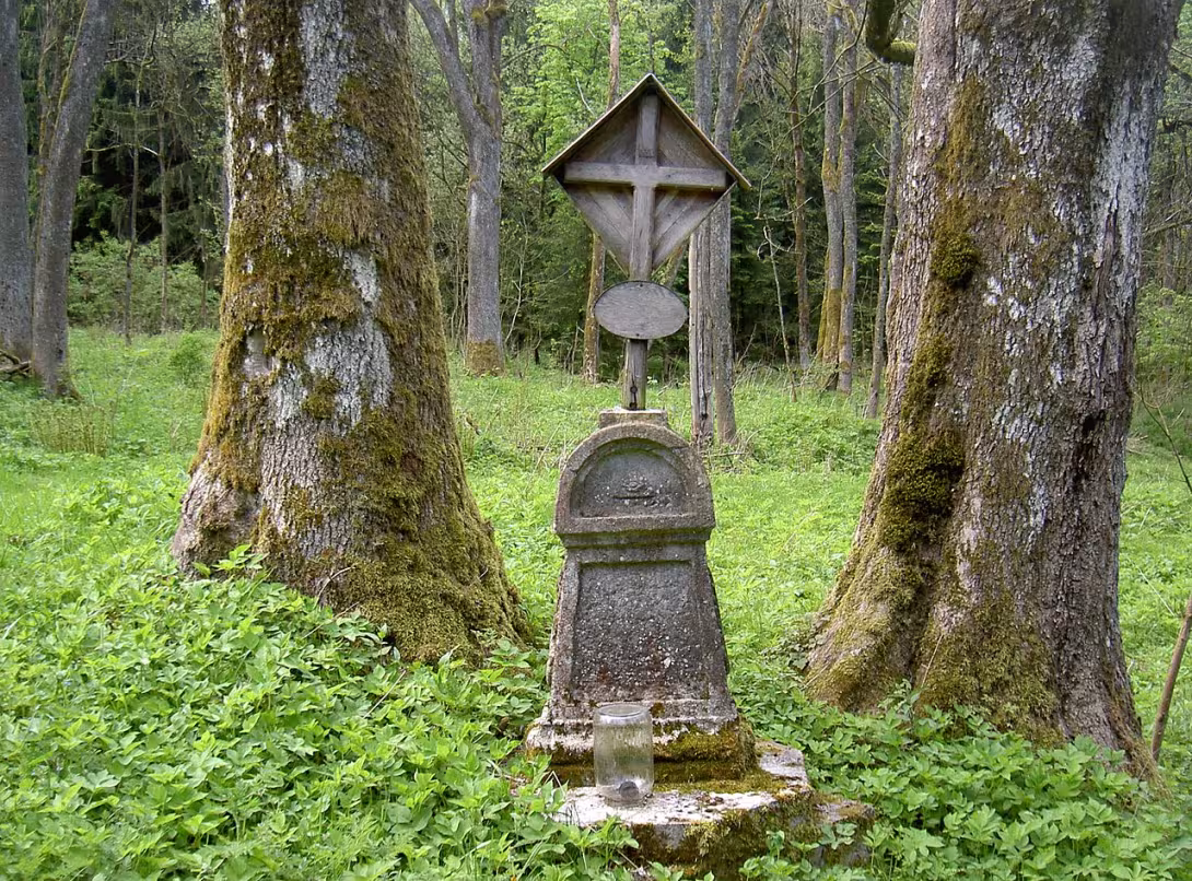 Today's view – Bernštejn