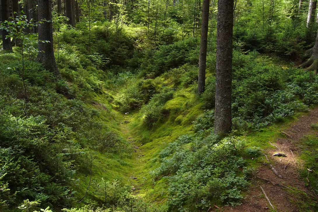Dnešní pohled – Volarské šance
